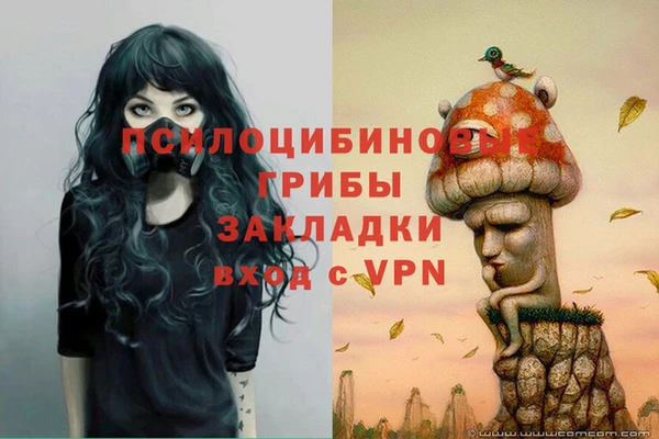 синтетический гашиш Богданович