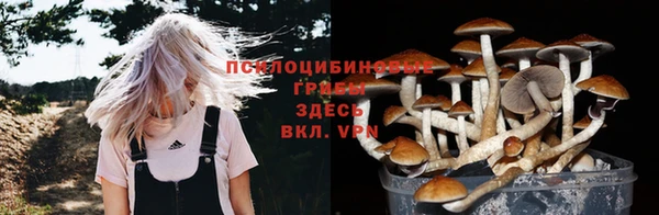 прущая мука Богородицк